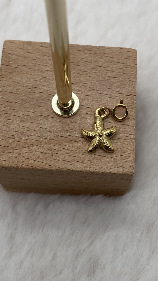 Charm Arm